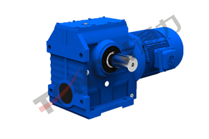 TS系列斜齒—蝸輪蝸桿減速機(jī)